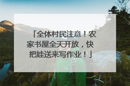 全体村民注意！农家书屋全天开放，快把娃送来写作业！