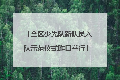 全区少先队新队员入队示范仪式昨日举行