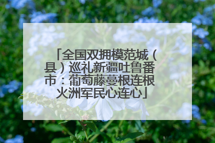 全国双拥模范城（县）巡礼新疆吐鲁番市：葡萄藤蔓根连根 火洲军民心连心