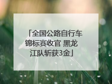 全国公路自行车锦标赛收官 黑龙江队斩获3金