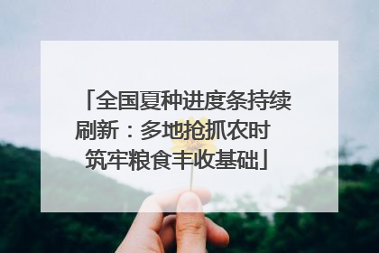 全国夏种进度条持续刷新：多地抢抓农时 筑牢粮食丰收基础
