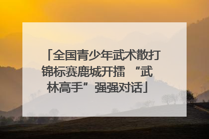 全国青少年武术散打锦标赛鹿城开擂 “武林高手”强强对话