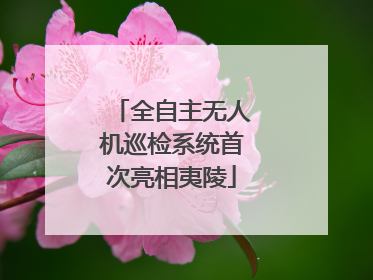 全自主无人机巡检系统首次亮相夷陵
