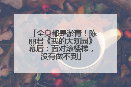 全身都是淤青！陈丽君《我的大观园》幕后：面对滚楼梯，没有做不到