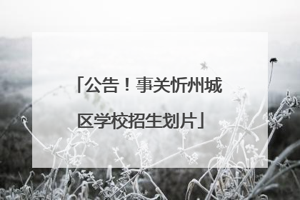 公告！事关忻州城区学校招生划片