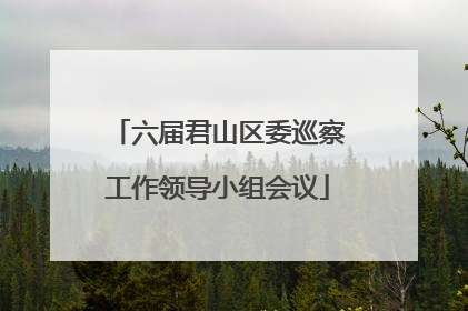 六届君山区委巡察工作领导小组会议