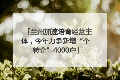 兰州加速培育经营主体，今年力争新增“个转企”4000户