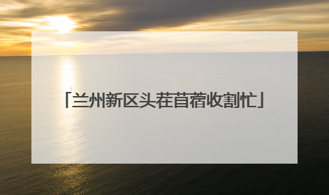 兰州新区头茬苜蓿收割忙