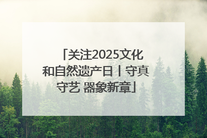 关注2025文化和自然遗产日丨守真守艺 器象新章