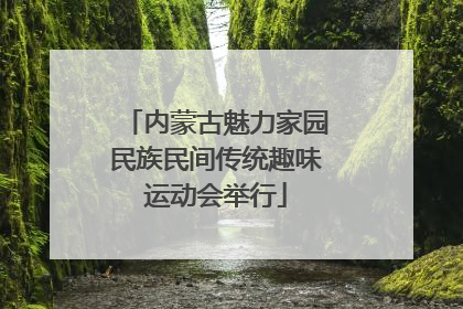 内蒙古魅力家园民族民间传统趣味运动会举行