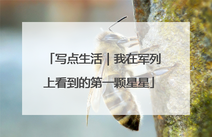 写点生活｜我在军列上看到的第一颗星星