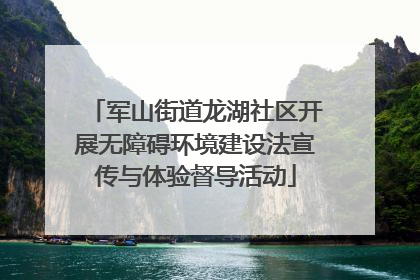 军山街道龙湖社区开展无障碍环境建设法宣传与体验督导活动