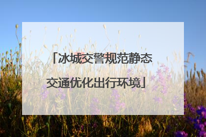 冰城交警规范静态交通优化出行环境