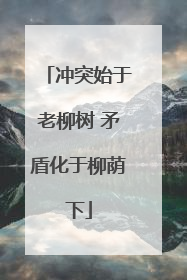 冲突始于老柳树 矛盾化于柳荫下