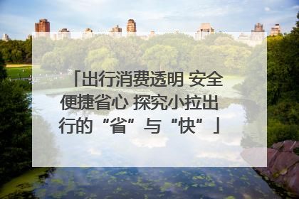 出行消费透明 安全便捷省心 探究小拉出行的“省”与“快”