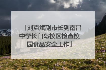 刘克斌副市长到南昌中学长白岛校区检查校园食品安全工作