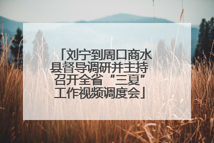 刘宁到周口商水县督导调研并主持召开全省“三夏”工作视频调度会
