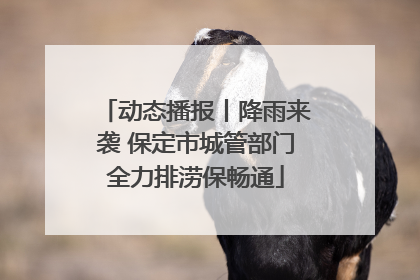 动态播报丨降雨来袭 保定市城管部门全力排涝保畅通