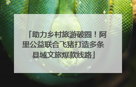 助力乡村旅游破圈！阿里公益联合飞猪打造多条县域文旅爆款线路