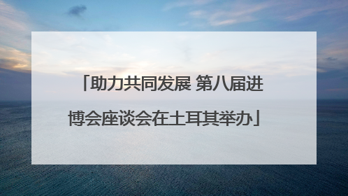 助力共同发展 第八届进博会座谈会在土耳其举办