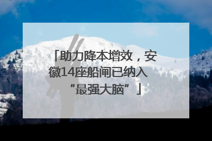助力降本增效，安徽14座船闸已纳入“最强大脑”