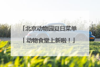 北京动物园夏日菜单丨动物食堂上新啦！