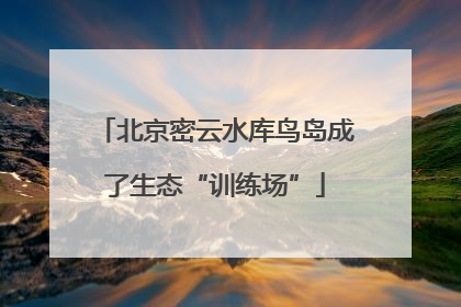北京密云水库鸟岛成了生态“训练场”