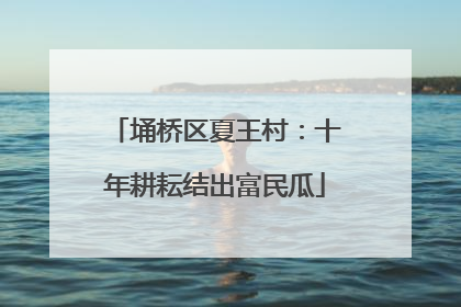 埇桥区夏王村：十年耕耘结出富民瓜