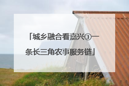 城乡融合看嘉兴③一条长三角农事服务链