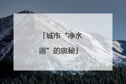 城市“净水器”的奥秘