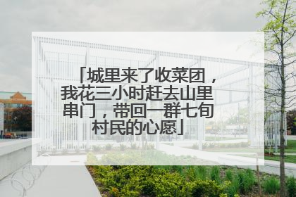 城里来了收菜团，我花三小时赶去山里串门，带回一群七旬村民的心愿