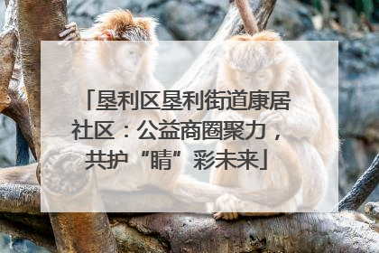 垦利区垦利街道康居社区：公益商圈聚力，共护“睛”彩未来
