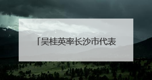 吴桂英率长沙市代表团访问沙特阿拉伯