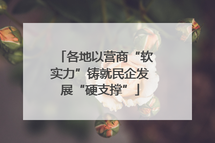各地以营商“软实力”铸就民企发展“硬支撑”