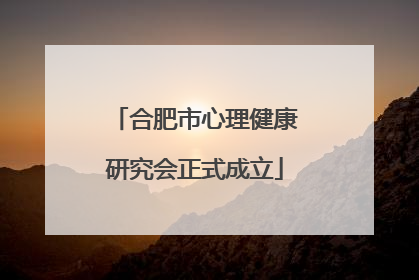 合肥市心理健康研究会正式成立