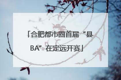 合肥都市圈首届“县BA”在定远开赛