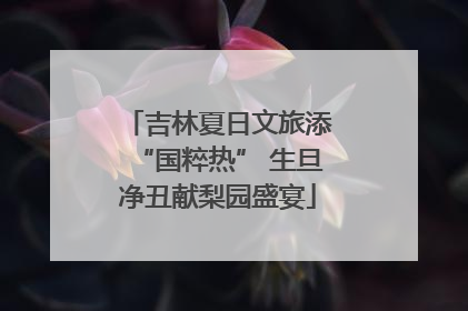 吉林夏日文旅添“国粹热” 生旦净丑献梨园盛宴