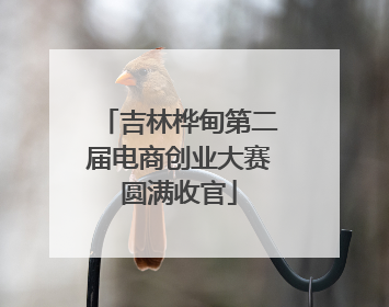 吉林桦甸第二届电商创业大赛圆满收官