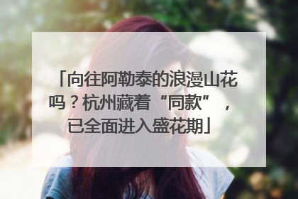 向往阿勒泰的浪漫山花吗？杭州藏着“同款”，已全面进入盛花期