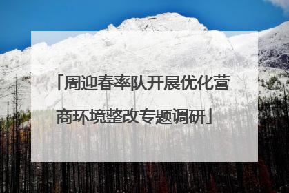 周迎春率队开展优化营商环境整改专题调研