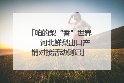 咱的梨“香”世界——河北鲜梨出口产销对接活动侧记