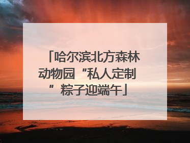 哈尔滨北方森林动物园“私人定制”粽子迎端午