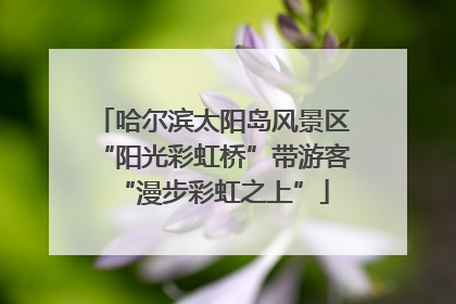 哈尔滨太阳岛风景区“阳光彩虹桥”带游客“漫步彩虹之上”