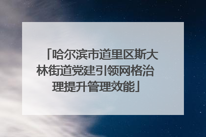 哈尔滨市道里区斯大林街道党建引领网格治理提升管理效能