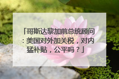 哥斯达黎加前总统顾问：美国对外加关税，对内猛补贴，公平吗？