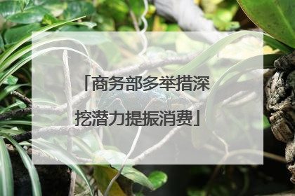 商务部多举措深挖潜力提振消费