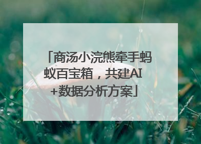 商汤小浣熊牵手蚂蚁百宝箱，共建AI+数据分析方案