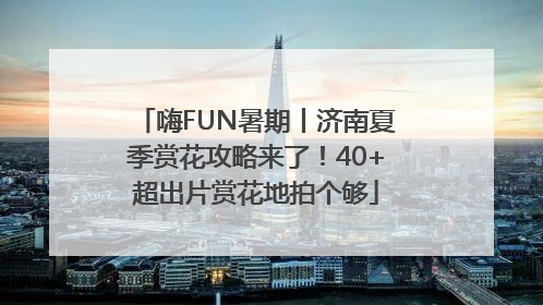 嗨FUN暑期丨济南夏季赏花攻略来了！40+超出片赏花地拍个够