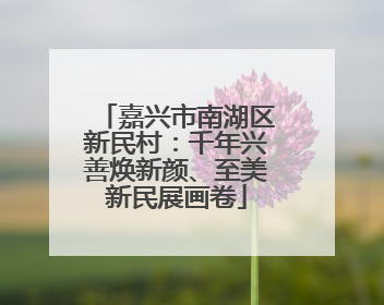 嘉兴市南湖区新民村：千年兴善焕新颜、至美新民展画卷