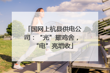 国网上杭县供电公司：“光”耀鸡舍，“电”亮增收